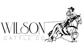 Wilson Cattle Company Logo