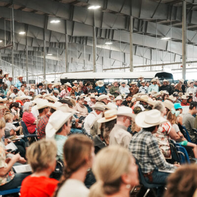 2025 WHC Ranch Horse Sale 2025 WHC Ranch Horse Sale