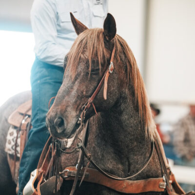 2025 WHC Ranch Horse Sale
