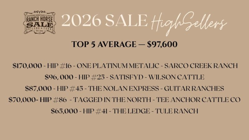 2026 TOP 5